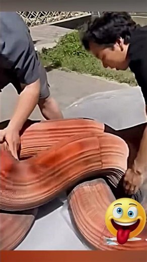 🔥🔥 Not a Real Tree… It’s Paper 🔥Trending Short