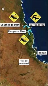 The new plan to deal with 'explosion' of crocs in Queensland