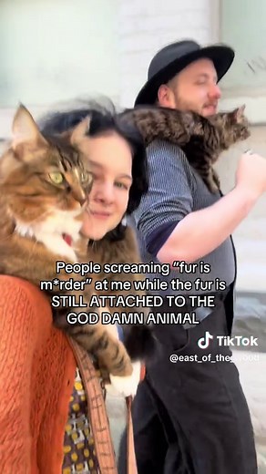 Walking Your Cat: Training Tips for Happy Adventures