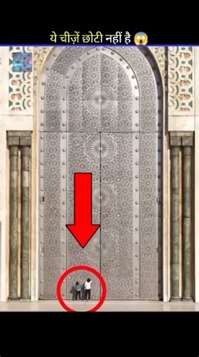 These normal looking things are not small #surprisefacts #facts #viralshort