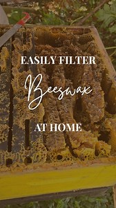 REPOSTING BY POPULAR DEMAND How to easily filter beeswax in your own home You will need: 2 Aluminum foiltrays Sticks (optional) Chux cloth or equivalent for filtering Oven at approx 60°C (140°F) Old beeswax And TIME! This process is simple but very slow. You must NEVER leave your oven unattended when melting wax because wax is highly flammable 😬 As the wax melts you can keep loading it up with more old wax so it's a continuous process Feel free to ask questions 🥰 Happy wax melting everyone 😁