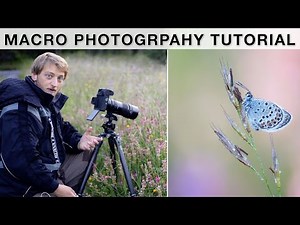 How to photograph butterflies - Macro Photography Tutorial (Equipment, Focus stacking, etc.)