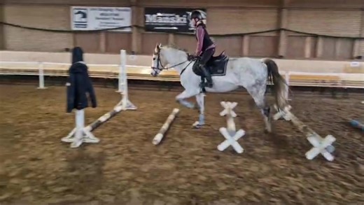 Beliebter Song über das Reiten mit Schimmel