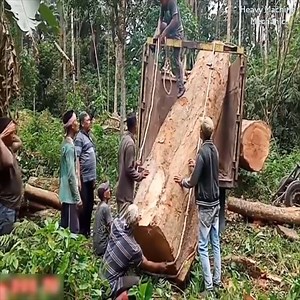 4.4M views · 19K reactions | How to lift a giant log onto a car | Heavy Machine Mechanic | Facebook
