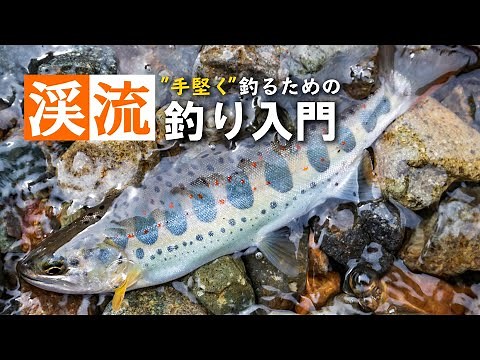 【手堅く釣る！】渓流釣り入門。仕掛けや道具、流し方を解説！