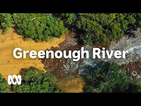 Greenough River: a dry river awakens 🌊 | ABC Australia