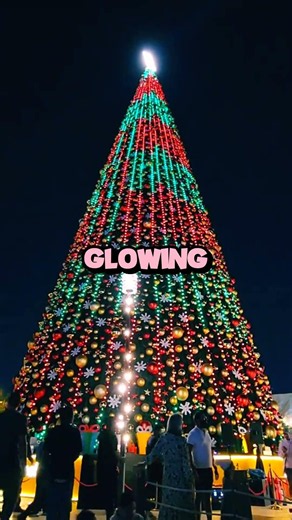 The Worlds Biggest Christmas Tree | #short #youtubeshort #fyp