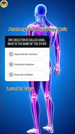 Anatomy Quiz - level 2 anatomy exam - the skeletal system