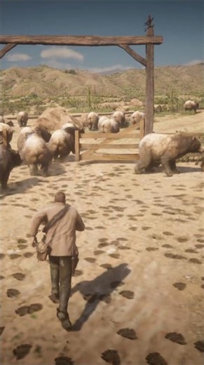 Bears #reddeadredemption2 #rdr2