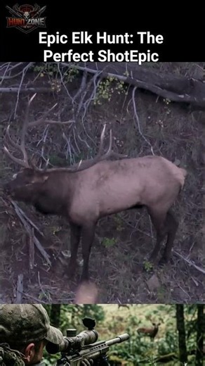 Epic Elk Hunt: The Perfect Shot #hunting #shorts #feedshorts
