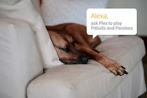 Plex for Alexa will get the party started with your voice