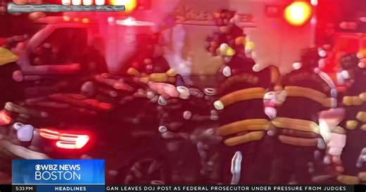 Man reunited with first responders who saved him when massive tree crushed his car