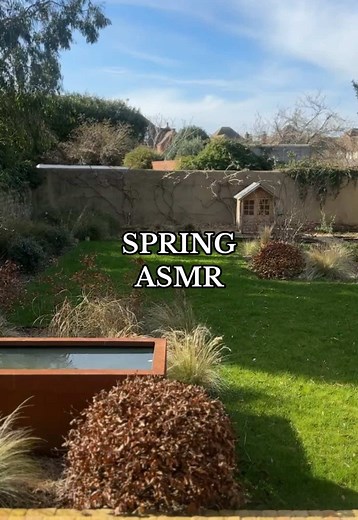 The sounds of spring ASMR ☀️