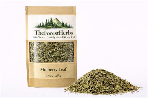 Mulberry Leaf – Morus Alba/ Organic Loose Herbal Tea/ Dried Herbs - Etsy