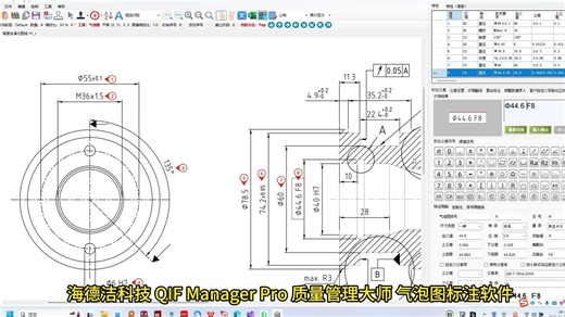 海德洁科技 QIF Manager Pro 气泡图标注软件 完全可定制化的气泡图软件