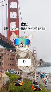 2K views · 19 reactions | Anyone else’s first SFM go a little something like this? #SFMarathon | The San Francisco Marathon | Facebook