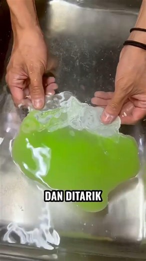 Cara Orang Jepang Membuat Kubis Instant!