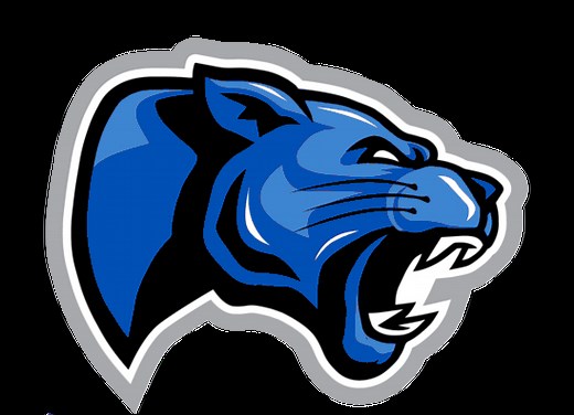 Women's Basketball - Denmark Technical College