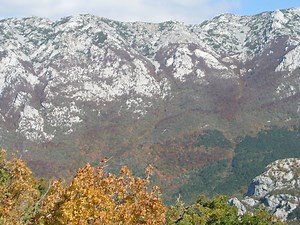 UNESCO World Heritage: Primeval Beech Forests - Northern Velebit and Paklenica National Parks - Total Croatia