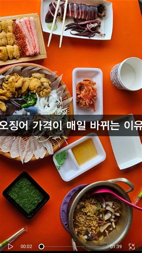 속초 오징어 시세가 매일 바뀌는 이유 #오징어 #속초 #속초오징어 #속초난전 #속초오징어난전 #삼박한집 차량 12분