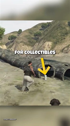 The Chop Feature Rockstar Removed from GTA V