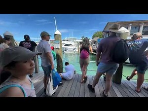 Key West LIVE from Schooner Wharf