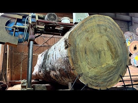 Wood Cutting Skills // 633-Year-Old Ironwood Tree With Beautiful Lines