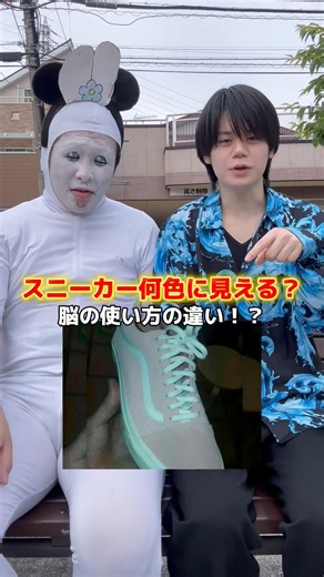 脳の錯覚！？みんなは何色に見える？#しゅんぴ