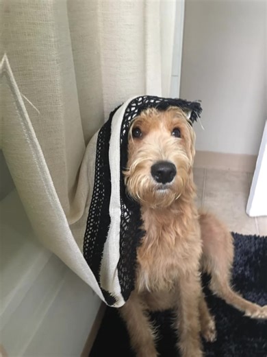 Creative Doodle Inspiration for Heartfelt Expressions