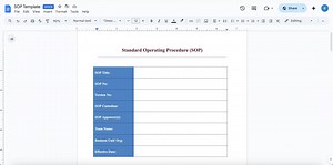 Ready-to-use SOP Template: Streamlined Format for Effortless Process Documentation I Google Docs - Etsy
