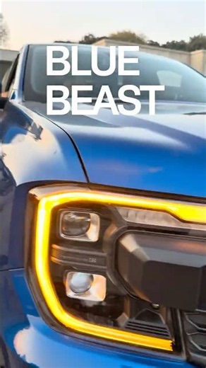 The Blue Beast❤️
