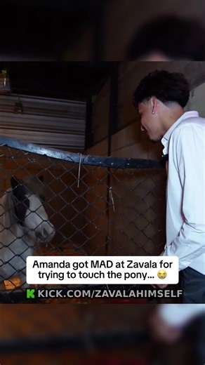 Amanda got MAD at Zavala for trying to touch the pony… 😭 #zavala #amanda #yera