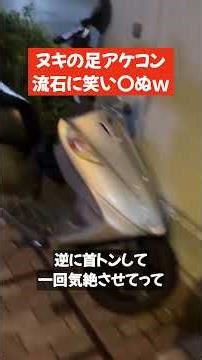 Nuki's foot arcade stick is really funny lol [Umehara] [Umehara Daigo Cutout] #Shorts