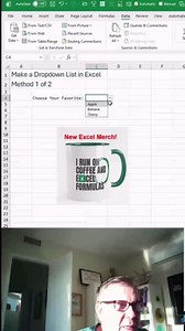 Excel: How to make a dropdown list (fast and easy)