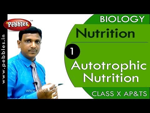 Autotrophic Nutrition: Nutrition | Biology | Science | Class 10