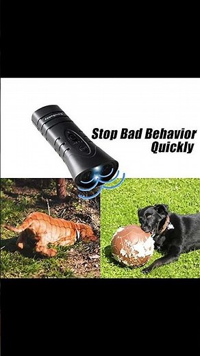 Control Your Dog's Barking with BarxBuddy