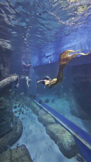 Tiên cá bị thất sủng #freediving #mermaid #nangtienca