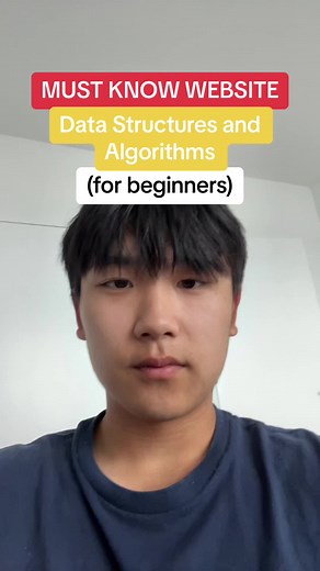 Website for learning data structures and algorithms #softwareengineerintern #leetcode #csmajor #collegefreshman #coding