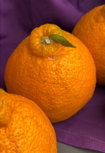 Sumo Citrus ® is aromatic, releasing a bright and lingering mandarin orange-like scent, and the fruits are known for having high sugar content, ranging from 13 to 18 degrees Brix. This high sugar is mixed with acidity, containing less than 1 percent citric acid, to create a rich, refreshing, fruity, and balanced sweet and tangy flavor. Enjoy it while it's in season here at our warehouse and learn more on the Specialty Produce App! #sumocitrus #specialtyproduceapp #citrusseason #fruitfacts #sandi