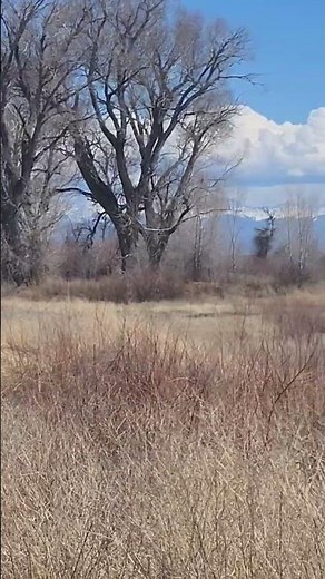 Alamosa National Wildlife Refuge, Colorado. 03/25