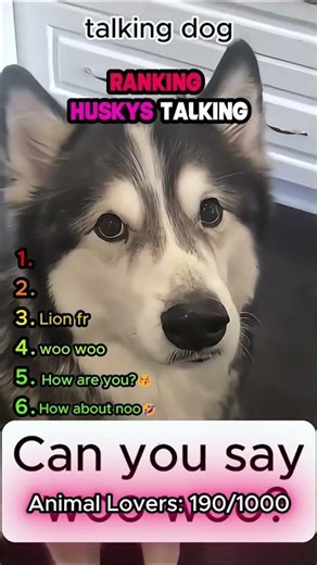 Ranking HUSKIES talking! (The last one is crazy) #dogs