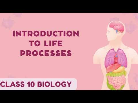 Life processes | Class 10 CBSE | Easy Biology notes