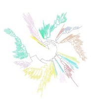 The Genomic Encyclopedia of Bacteria and Archaea (GEBA)