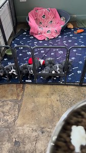 72K views · 5.7K reactions | I wasn’t very popular at dinner time…...