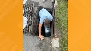 Niagara SPCA hoping to rescue a kitten in a storm drain