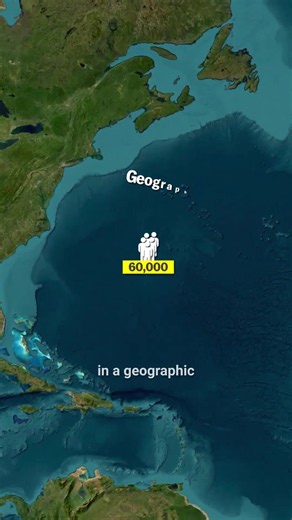 Why People Live in Bermuda: Rich Island with No Resources