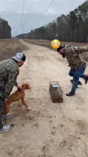 He bout got me. #bigchuk #coonhound #dogtraining