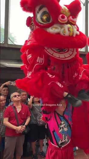 Grand Opening Sheng Siong Chinatown 5 Jun 2026 - 新加坡天山體育會 Tianshan Dragon & Lion Dance Association