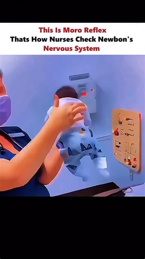 inside.science_ on Instagram: "Follow @inside.science_ for more fascinating insights into how the human body works! 🧠✨ When a baby senses a sudden movement, drop, or loud sound, their body instinctively reacts: arms fling outward, legs stretch, and then quickly curl back in. This automatic response is a built-in survival mechanism, helping protect infants from losing balance or falling. #Neuroscience #HumanBody #ReflexArc #NewbornCare #MoroReflex #Physiology #MedicalScience #BabyReflexes #Brain