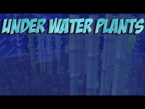 Underwater Plants | Minecraft